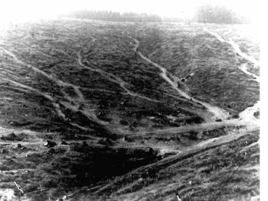 Lange Bramke Kahlschlag: Das gesamte Einzugsgebiet der Langen Bramke wurde 1948 im Rahmen eines sogenannten Reparationshiebes kahlgeschlagen (Foto unbekannt)
